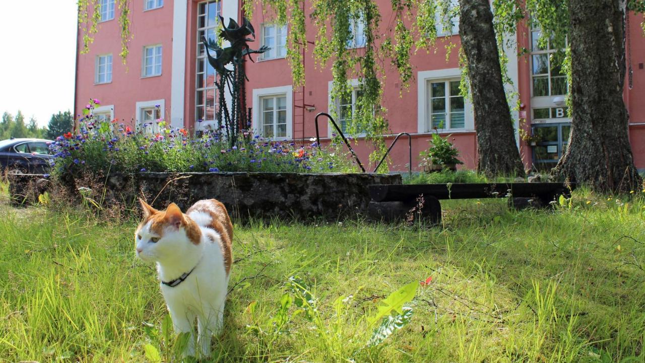 Vanha Koulu Suolahti Экстерьер фото